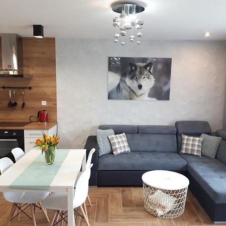 Apartamenty Pod Dzikowcem Boguszow-Gorce Exterior photo