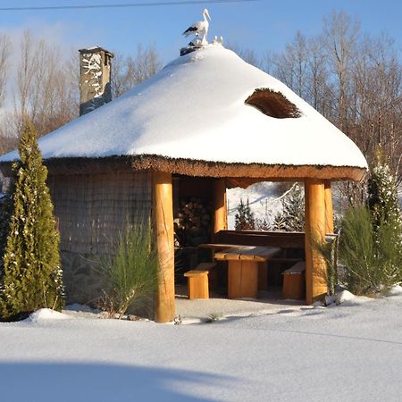 Apartamenty Pod Dzikowcem Boguszow-Gorce Exterior photo
