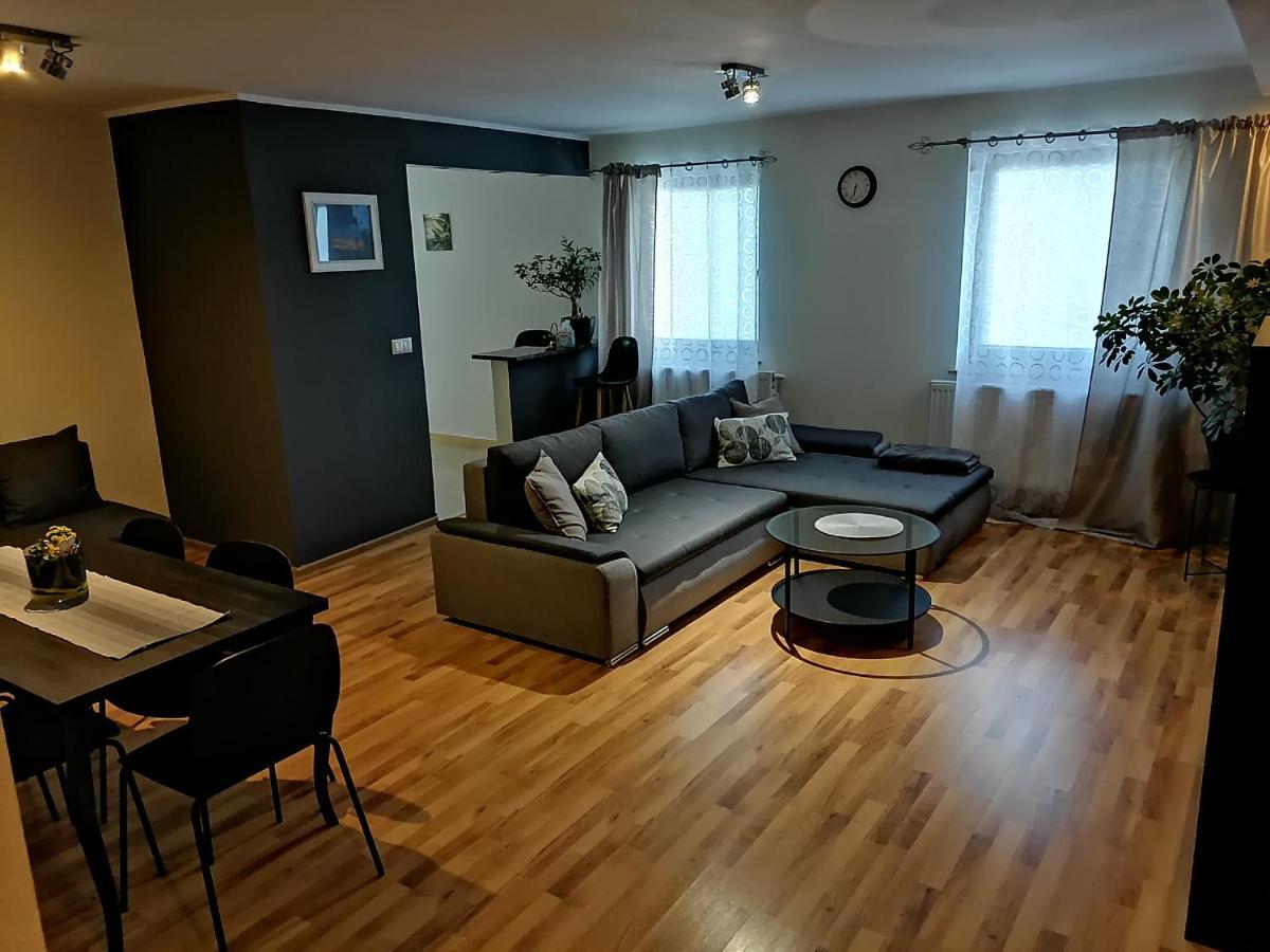 Apartamenty Pod Dzikowcem Boguszow-Gorce Exterior photo