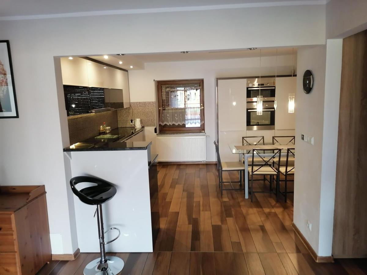 Apartamenty Pod Dzikowcem Boguszow-Gorce Exterior photo