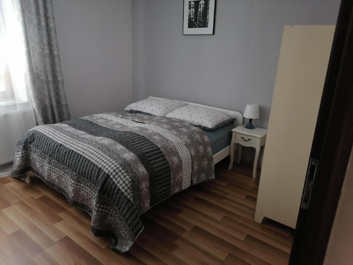 Apartamenty Pod Dzikowcem Boguszow-Gorce Exterior photo