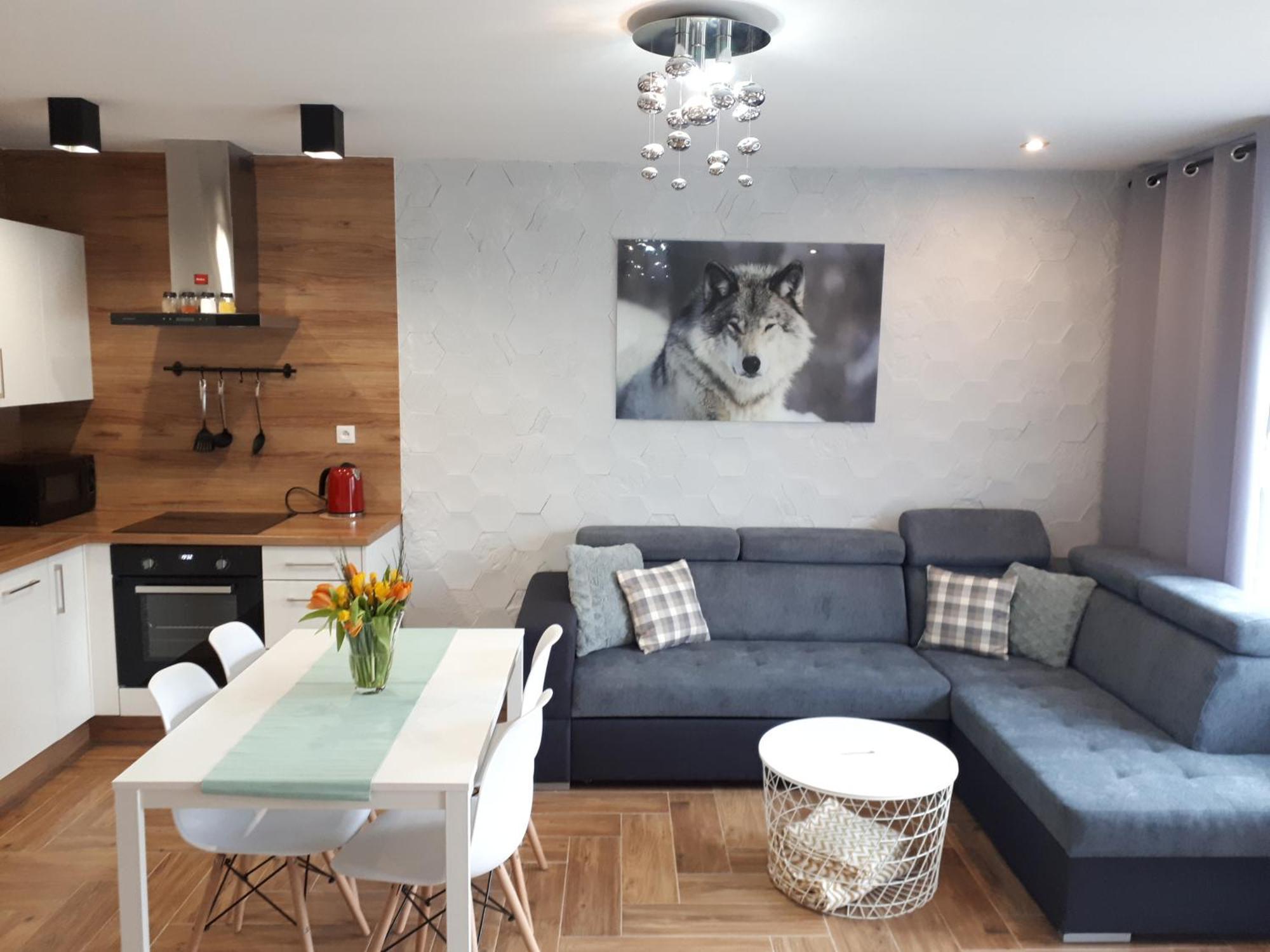 Apartamenty Pod Dzikowcem Boguszow-Gorce Exterior photo