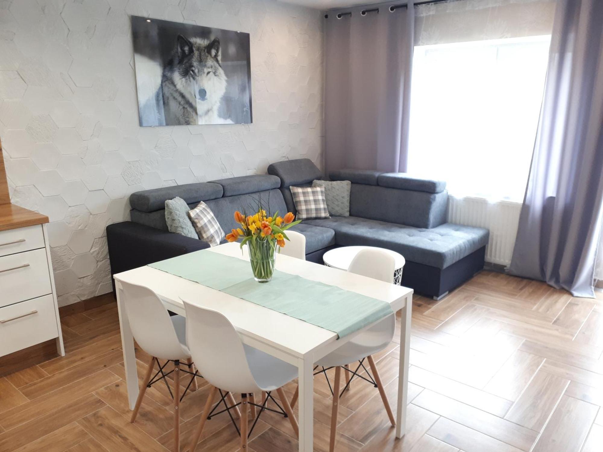 Apartamenty Pod Dzikowcem Boguszow-Gorce Exterior photo