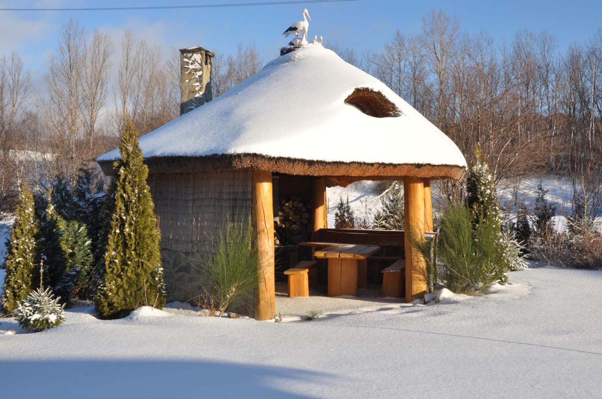 Apartamenty Pod Dzikowcem Boguszow-Gorce Exterior photo
