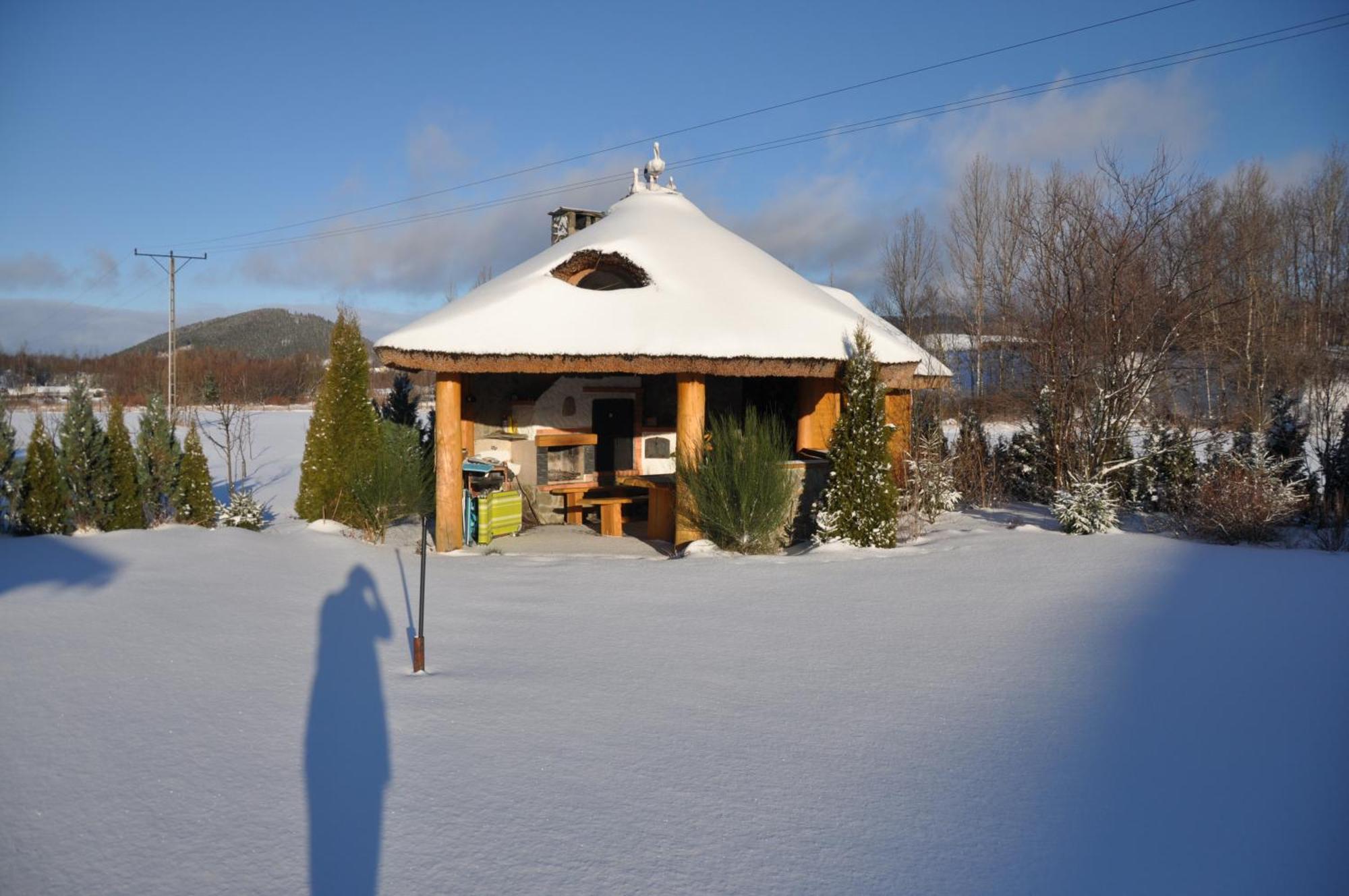 Apartamenty Pod Dzikowcem Boguszow-Gorce Exterior photo