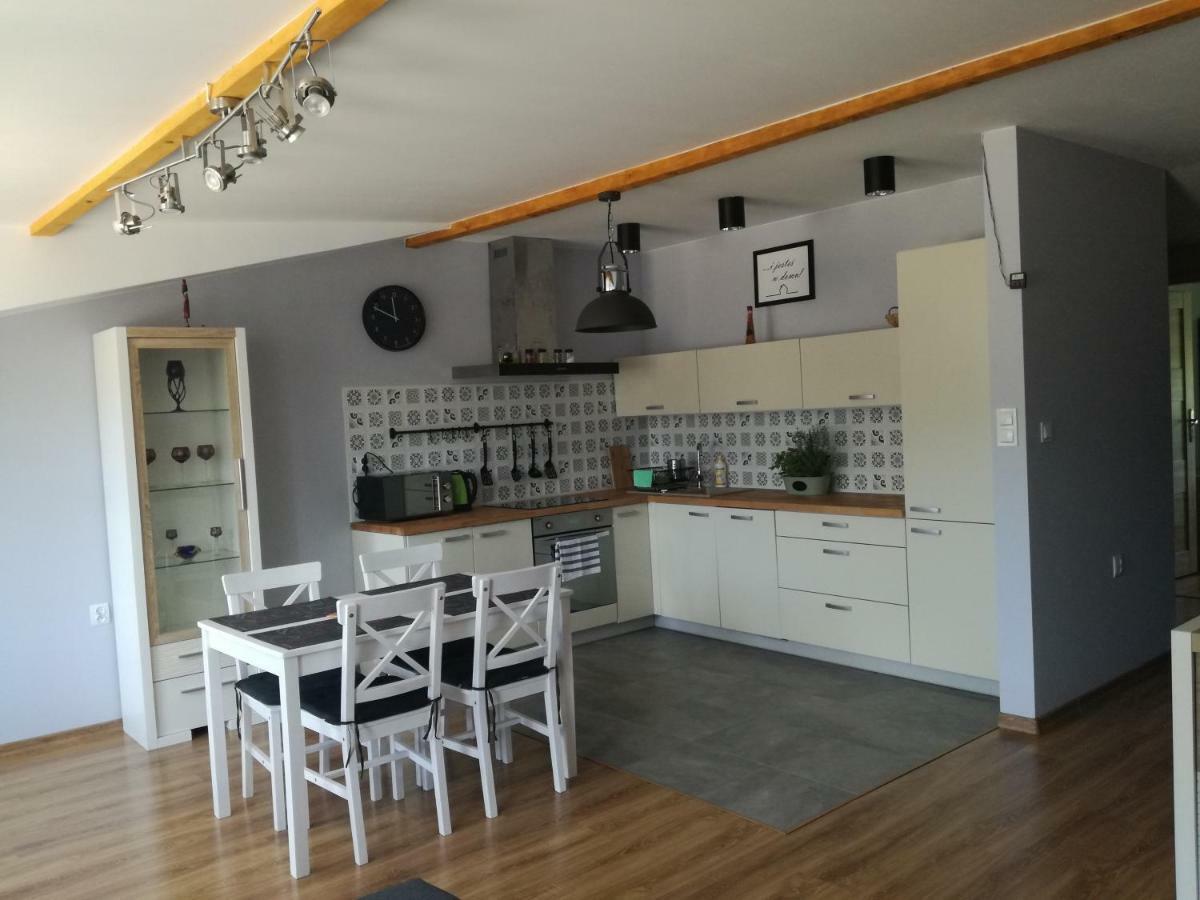Apartamenty Pod Dzikowcem Boguszow-Gorce Exterior photo