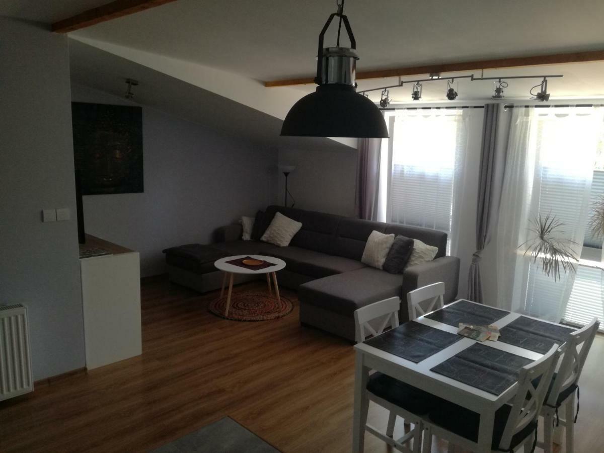 Apartamenty Pod Dzikowcem Boguszow-Gorce Exterior photo