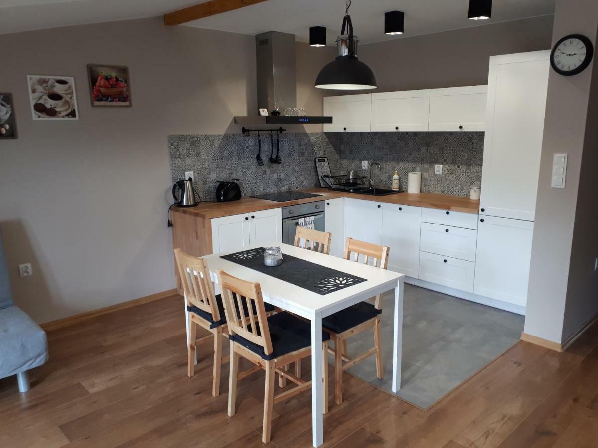 Apartamenty Pod Dzikowcem Boguszow-Gorce Exterior photo