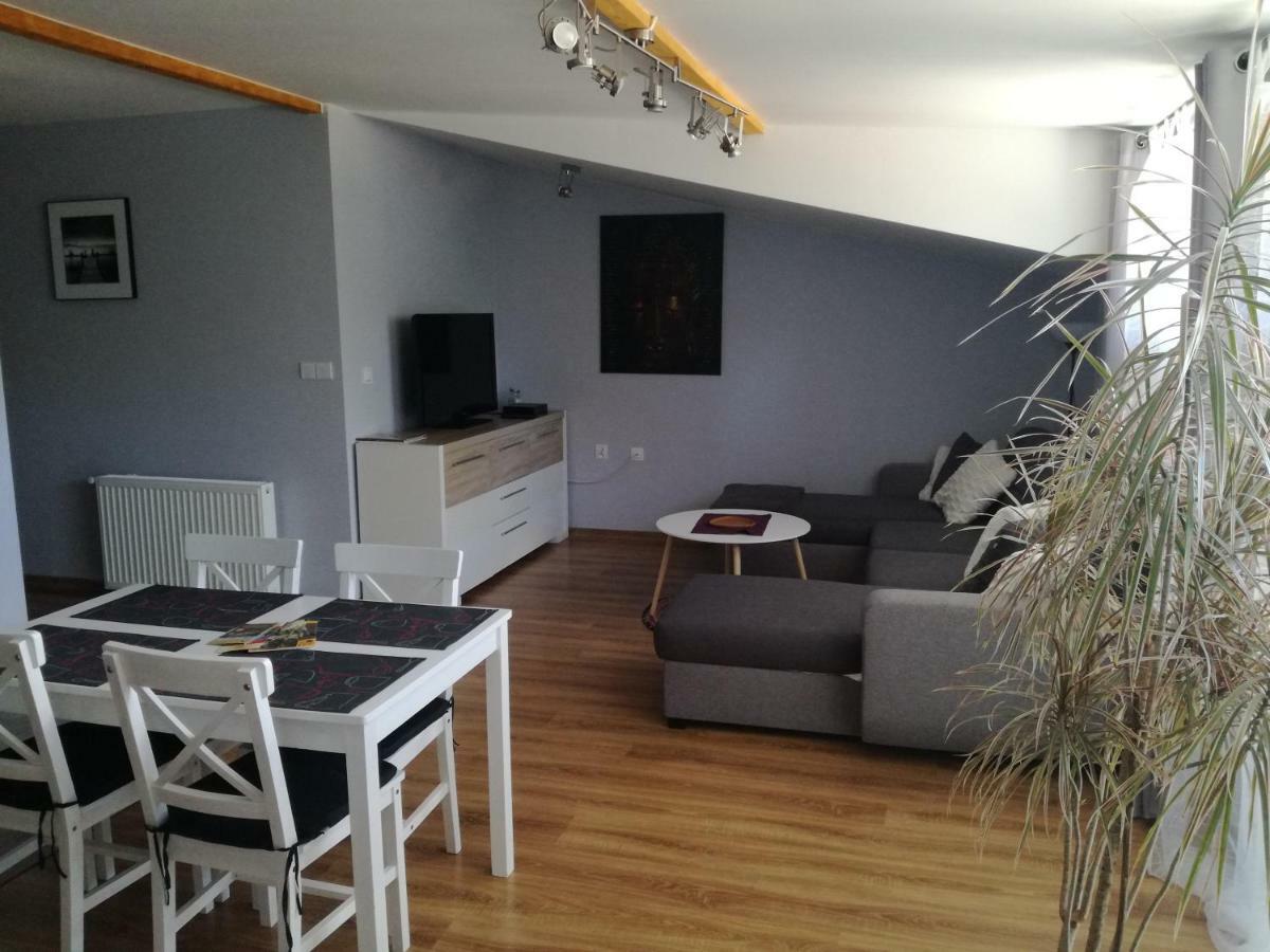 Apartamenty Pod Dzikowcem Boguszow-Gorce Exterior photo