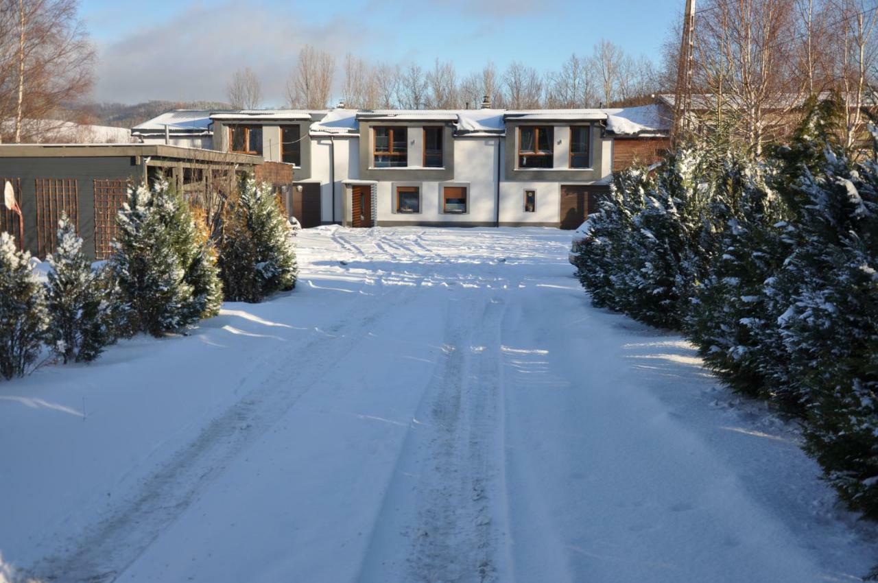 Apartamenty Pod Dzikowcem Boguszow-Gorce Exterior photo